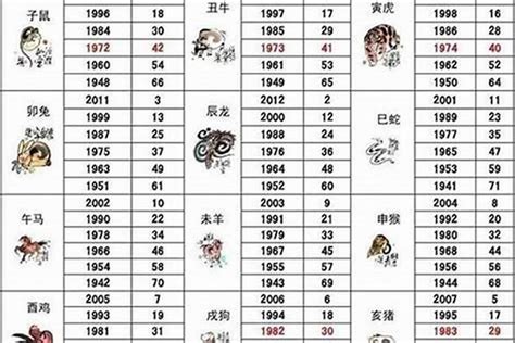 1992 什么生肖